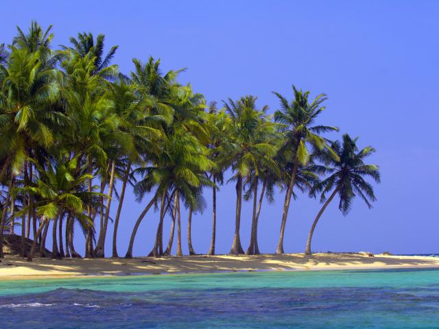 Pelican Island San Blas Territory Panama