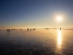 Skaters on a Frozen Lake