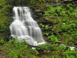 Erie Falls in Spring, Ricketts Glen State Park, Benton, Pennsylvania
