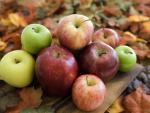 Apples_in_Autumn