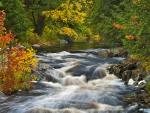 Autumn_Color_Rosseau_River_Muskoka_Region_Ontario