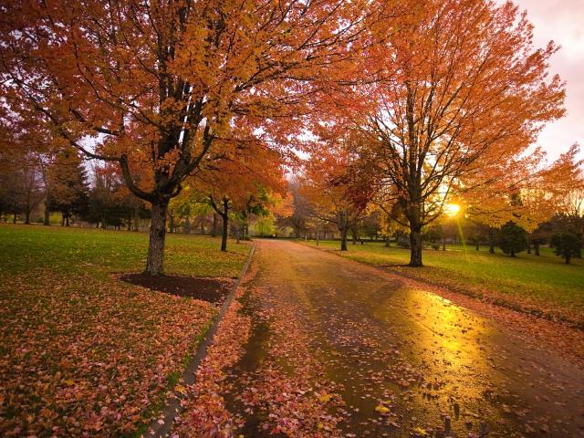 Autumn_Sunset_Happy_Valley_Oregon