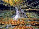 McCormicks_Creek_State_Park_in_Autumn_Indiana