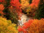Waterfall_in_Autumn_Blue_Ridge_Parkway_North_Carolina