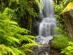 Waterfall_Kubota_Garden_Seattle_Washington