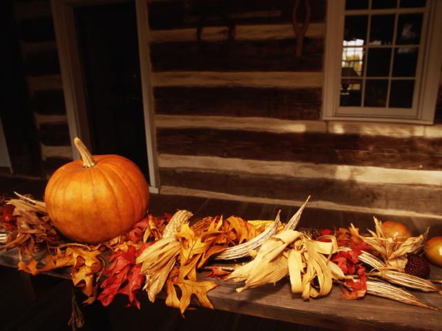 Autumn_Harvest