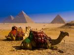 Camels_Great_Pyramids