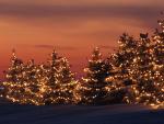 Winter_Lights_Minnesota